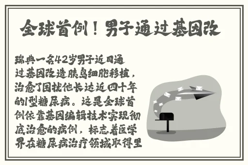八戒八戒神马2021
